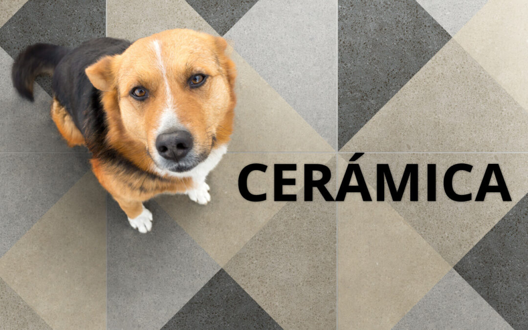 cerámicas