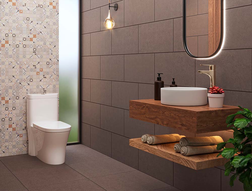 Baño con sanitario y lavamanos